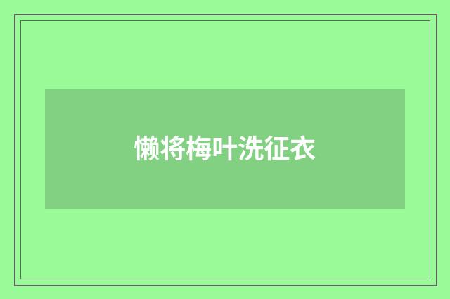 懒将梅叶洗征衣