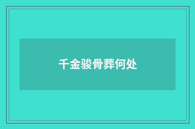 千金骏骨葬何处