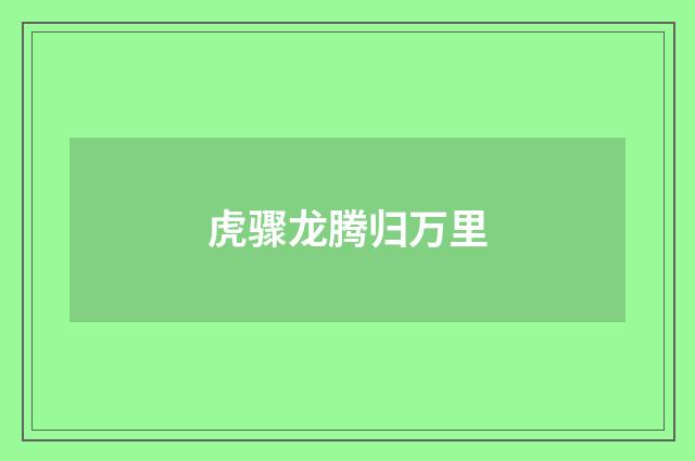 虎骤龙腾归万里