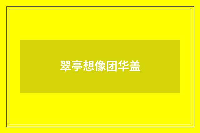 翠亭想像团华盖