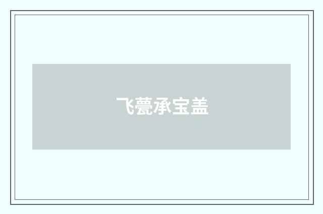 飞甍承宝盖