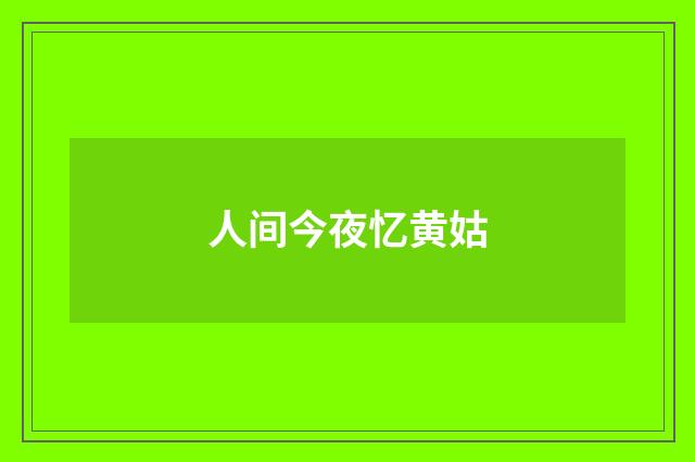 人间今夜忆黄姑
