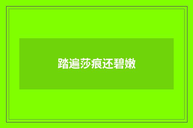 踏遍莎痕还碧嫩
