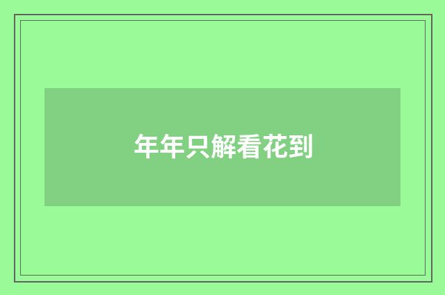 年年只解看花到