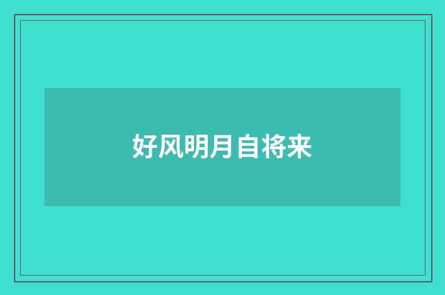 好风明月自将来