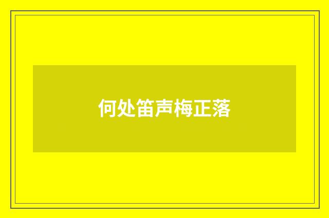 何处笛声梅正落