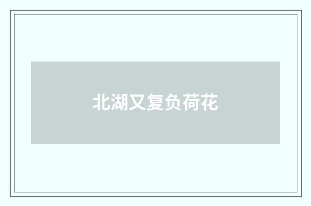 北湖又复负荷花