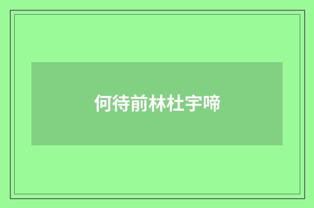 何待前林杜宇啼