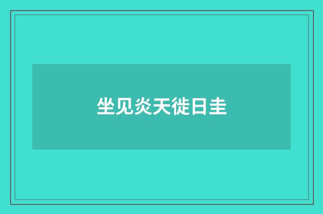 坐见炎天徙日圭