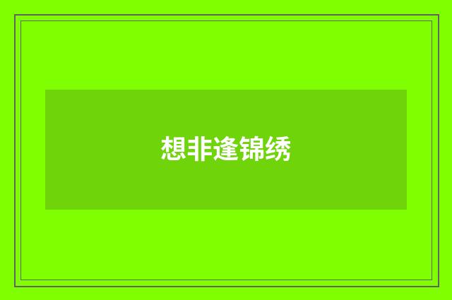 想非逢锦绣