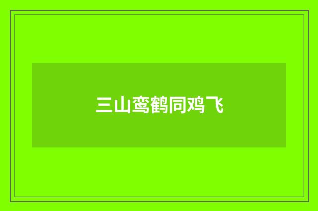 三山鸾鹤同鸡飞