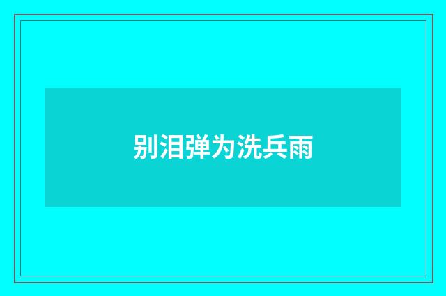 别泪弹为洗兵雨