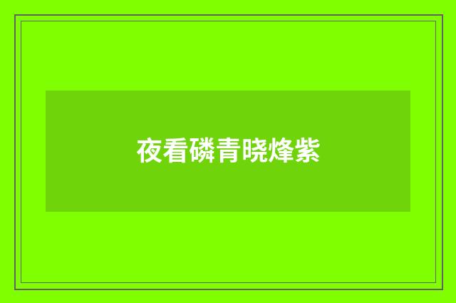 夜看磷青晓烽紫