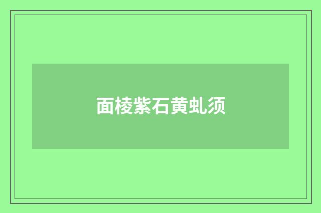 面棱紫石黄虬须