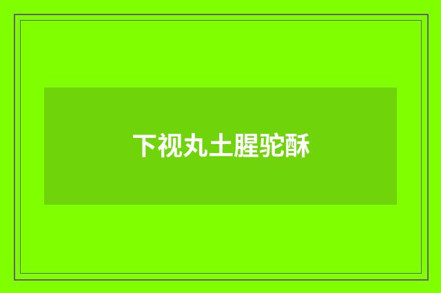 下视丸土腥驼酥
