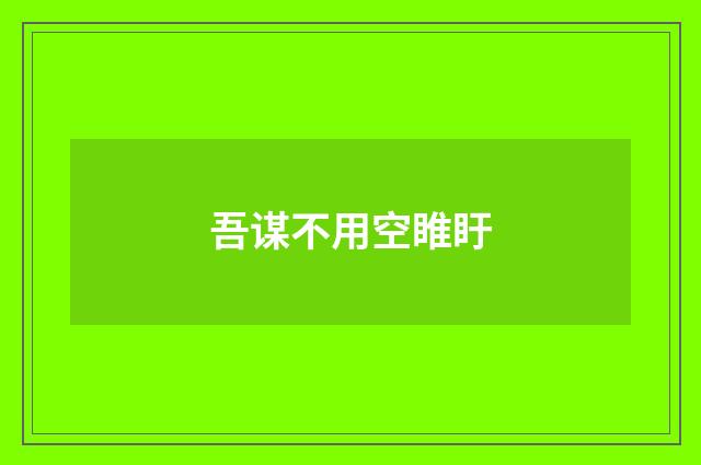 吾谋不用空睢盱