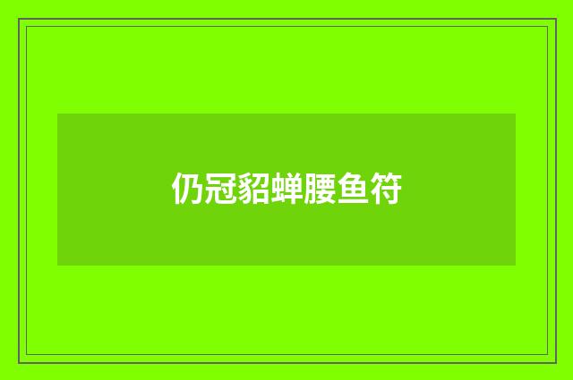 仍冠貂蝉腰鱼符
