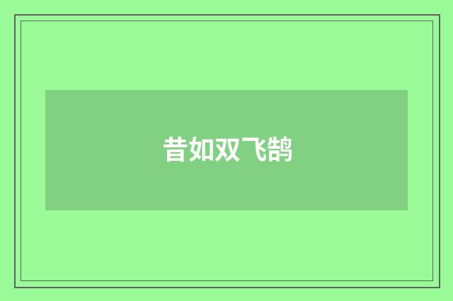 昔如双飞鹄