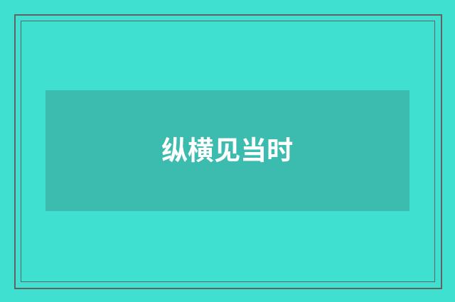 纵横见当时