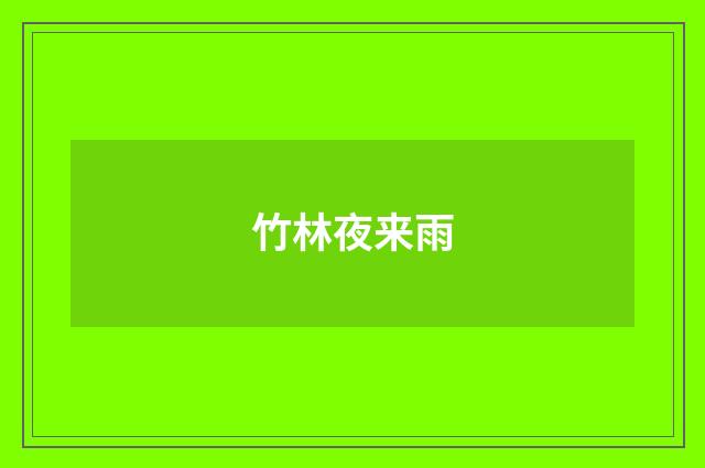 竹林夜来雨