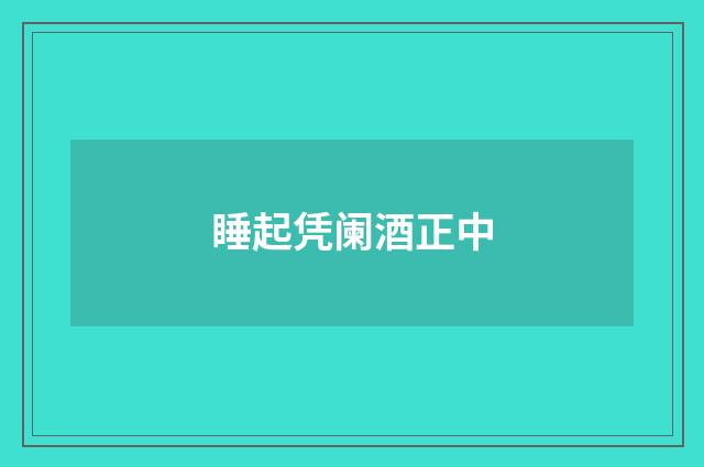 睡起凭阑酒正中