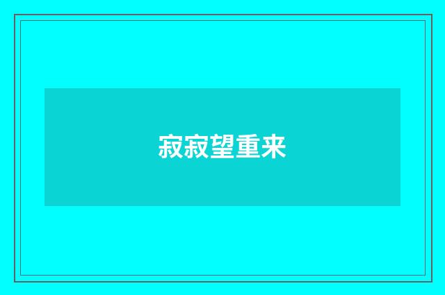 寂寂望重来