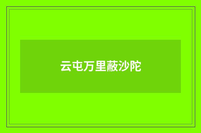 云屯万里蔽沙陀