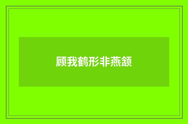 顾我鹤形非燕颔