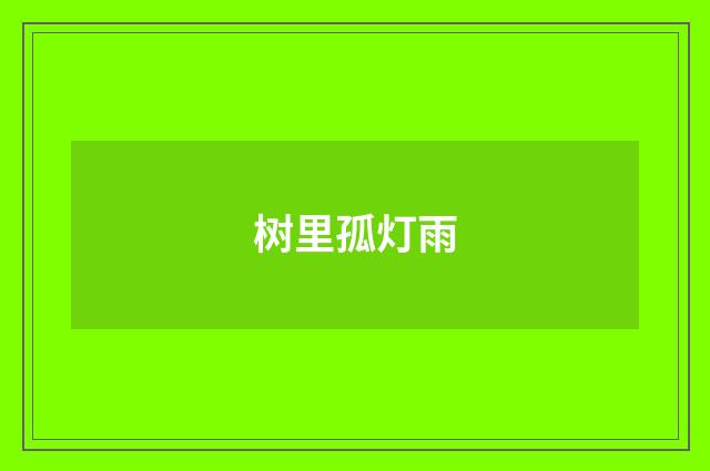 树里孤灯雨