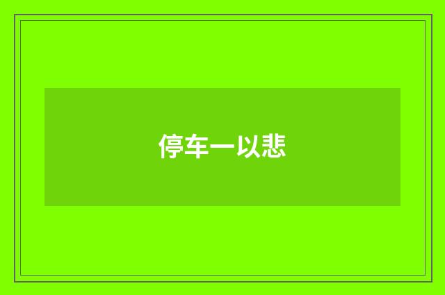 停车一以悲