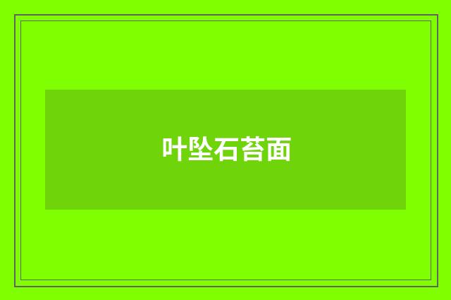 叶坠石苔面