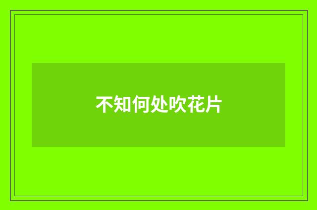 不知何处吹花片
