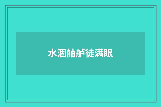 水涸舳舻徒满眼