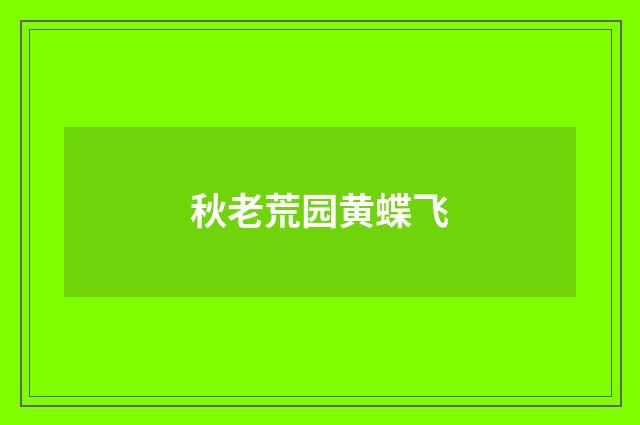 秋老荒园黄蝶飞