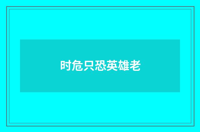 时危只恐英雄老
