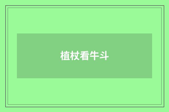 植杖看牛斗