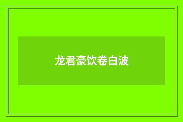 龙君豪饮卷白波