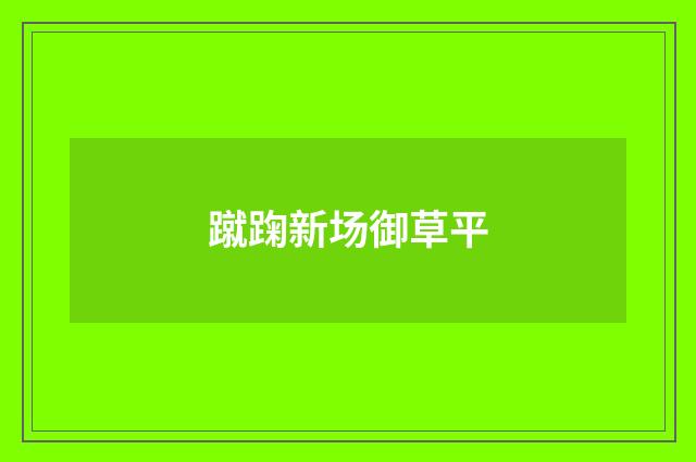 蹴踘新场御草平