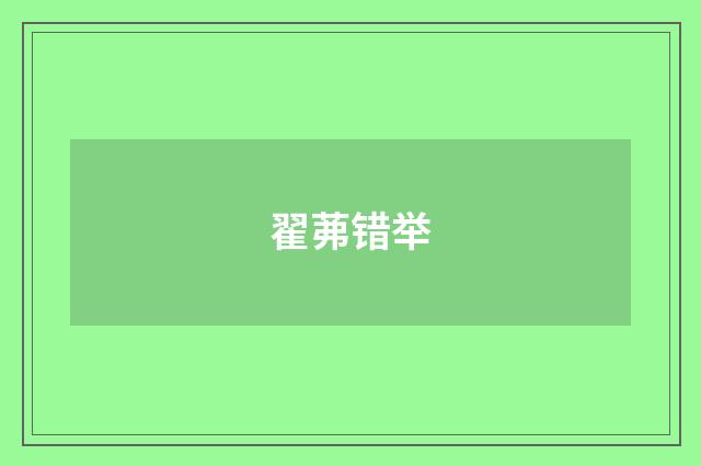 翟茀错举