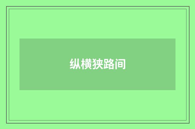 纵横狭路间