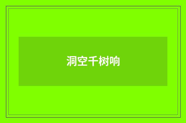 洞空千树响