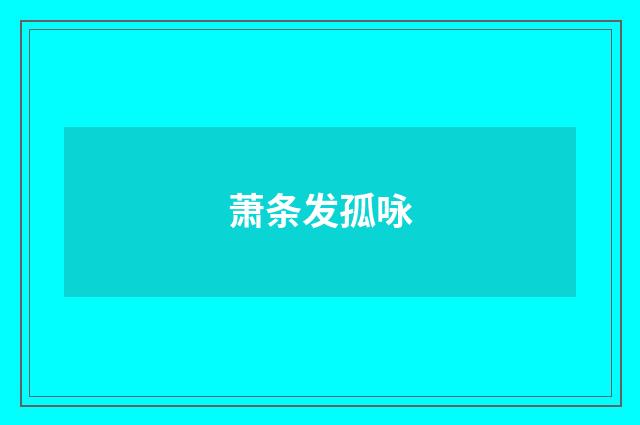 萧条发孤咏