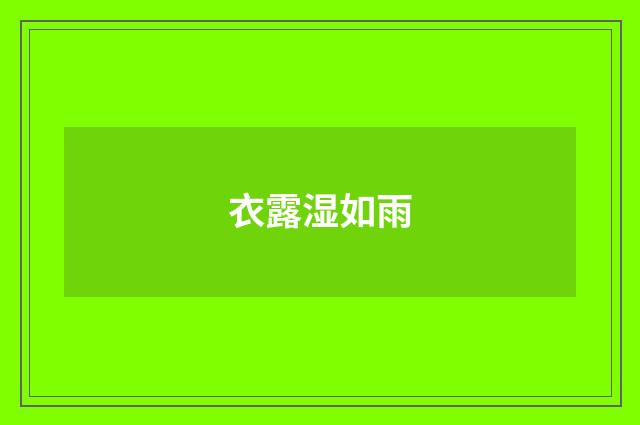 衣露湿如雨