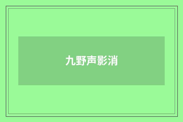 九野声影消