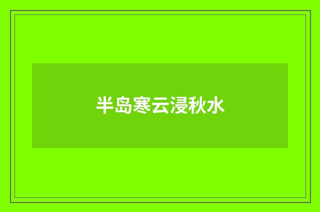 半岛寒云浸秋水