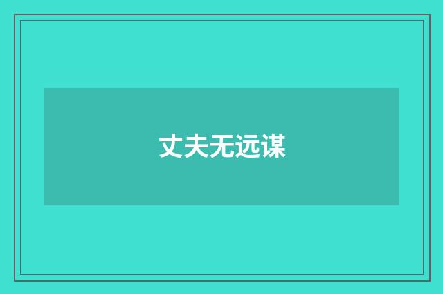 丈夫无远谋