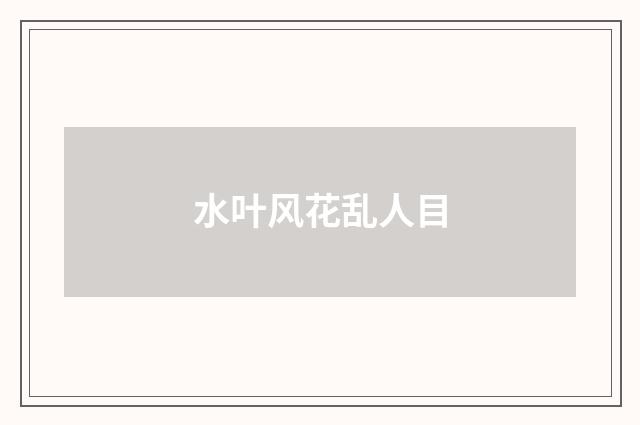 水叶风花乱人目