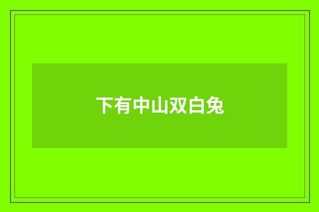 下有中山双白兔
