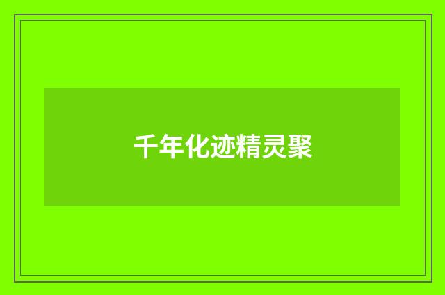 千年化迹精灵聚