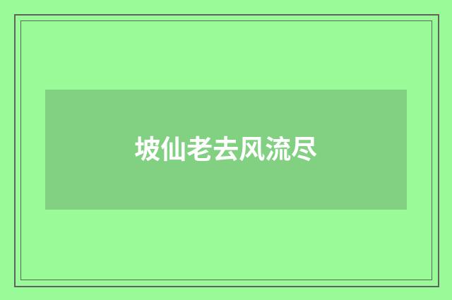 坡仙老去风流尽